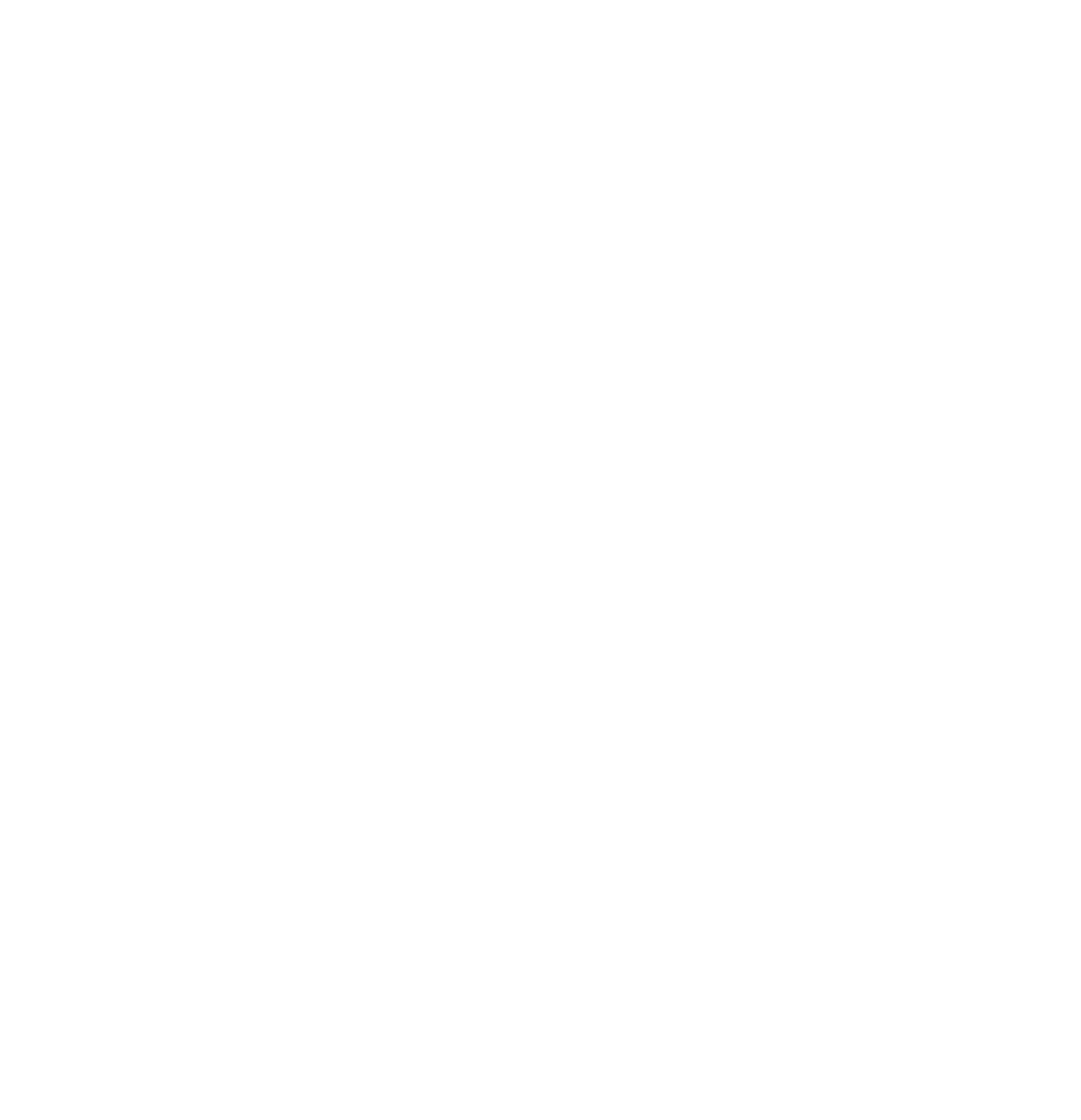 The Store X